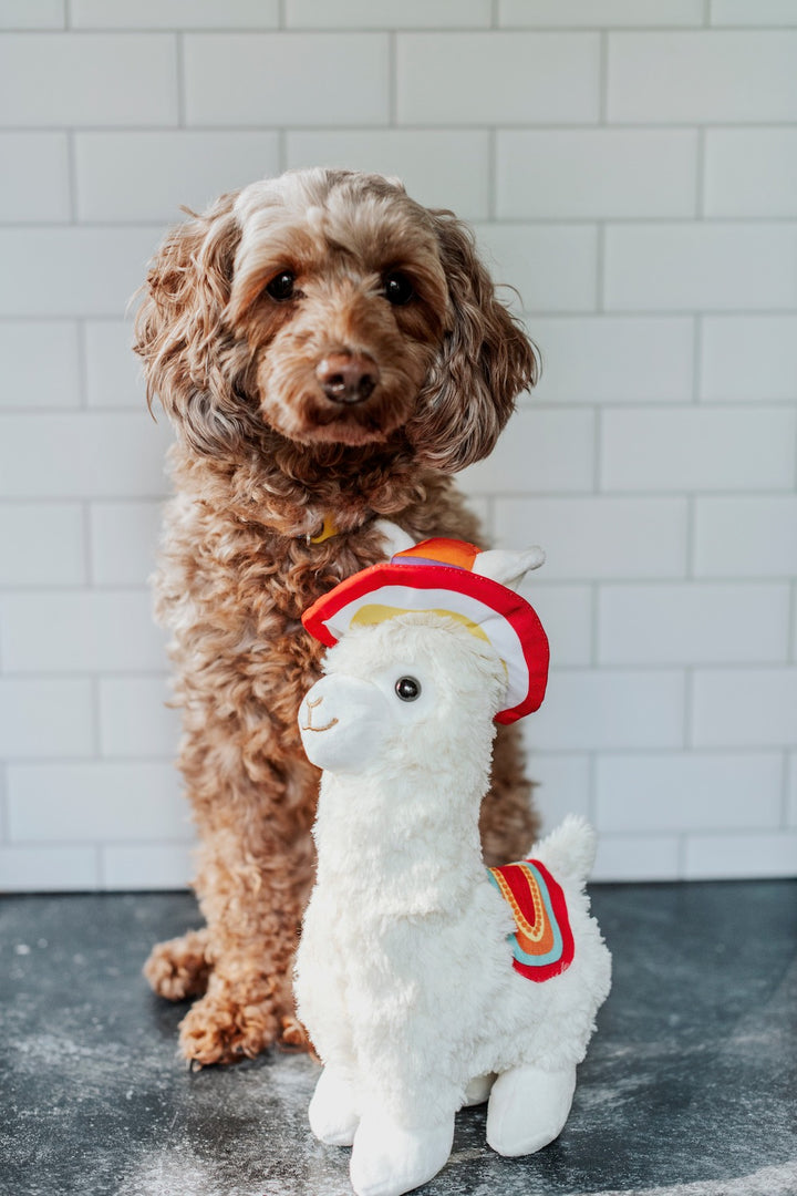 EYS Plush Llama Adventure Buddy  Small Breed Dog  / Cat Toy with Squeaker & Bell