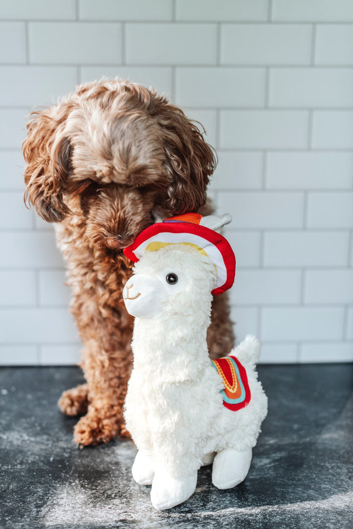 EYS Plush Llama Adventure Buddy  Small Breed Dog  / Cat Toy with Squeaker & Bell