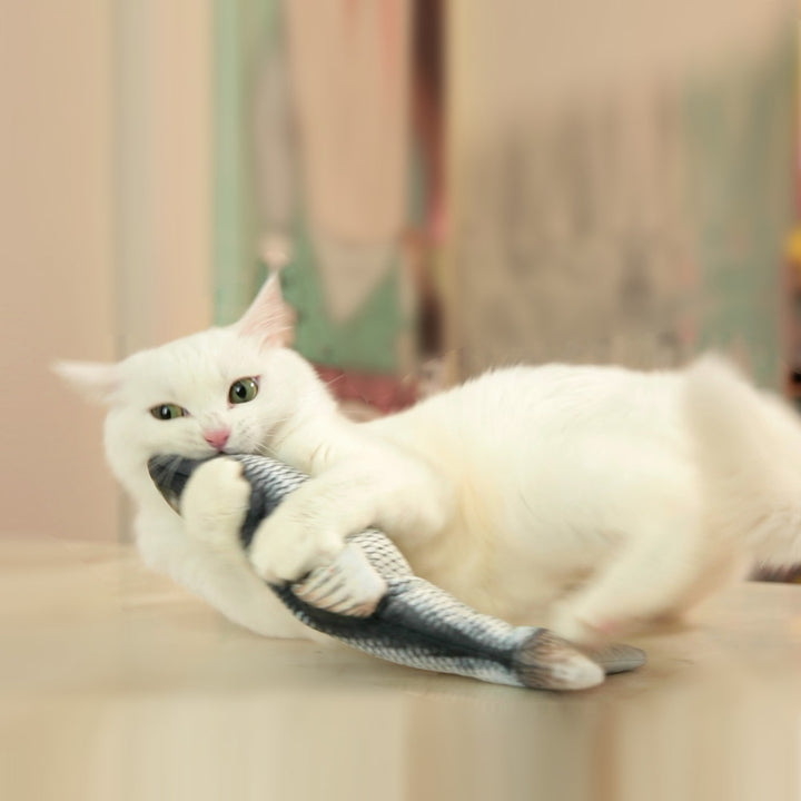 EYS Motion-Activated Dancing Fish Cat Toy (Crucian/Clownfish/Mackerel) – Floppy Interactive Plush with Catnip Pouch, USB Rechargeable, Removable Washable Cover