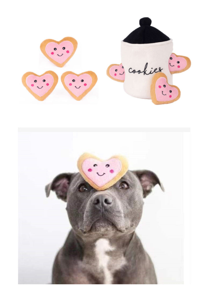 EYS Plush Cookie Jar Dog Toy with Heart-Shaped Squeakers - Interactive & Durable Puppy Toy for Soft Chewers Only