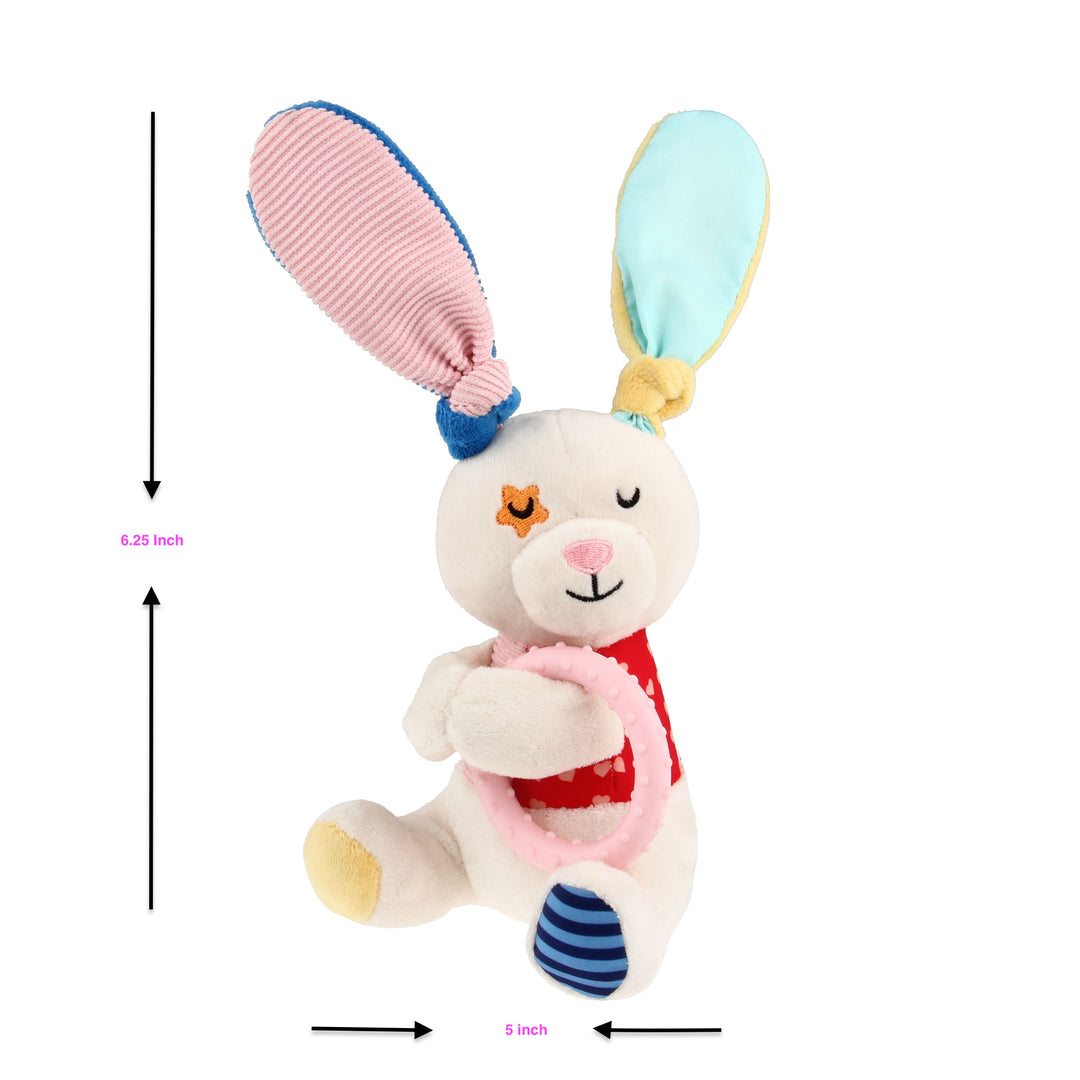 EYS GiGwi Plush Friendz Rabbit Squeaky & Crinkle Dog Toy
