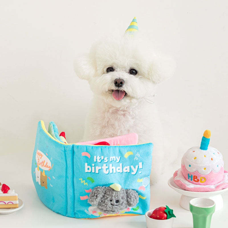 EYS Birthday Adventure Book: Crinkle, Squeak & Treat Hide-and-Seek Toy