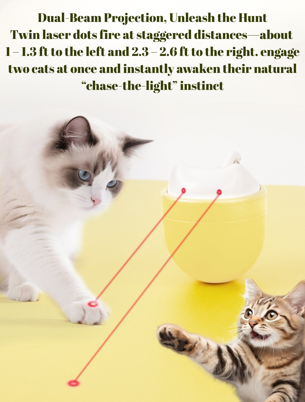 Automatic Dual-Beam Laser Cat Toy — Quiet 35–38 dB, Wobble Base, 3 Modes for Indoor Cats & Kittens