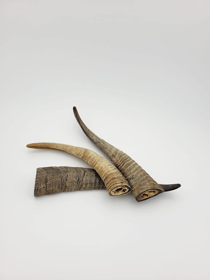Herders Choice Chews Dried Goat Horn Dog Chew ( 3 Pcs)  – Single-Ingredient, 100% Natural Chew for Dental Support