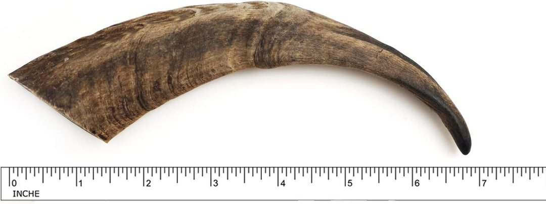 Herders Choice Chews Dried Goat Horn Dog Chew ( 3 Pcs)  – Single-Ingredient, 100% Natural Chew for Dental Support