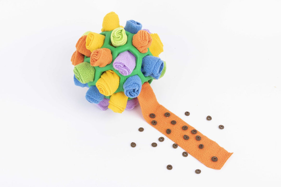 EYS Interactive Snuffle Ball Dog Puzzle Toy Hide &Seek Treats