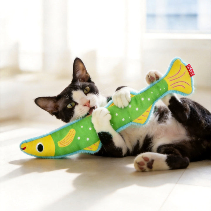 EYS GiGwi Catch & Scratch Kicker Cat Toy with Catnip & Crinkle Paper