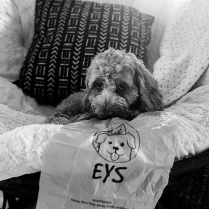 E Y S eco-friendly Dog Poop Bags Lavender-Scented